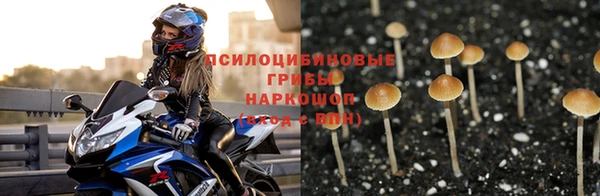 винт Алексин