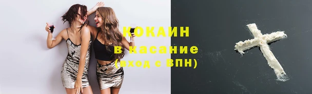 ПСИЛОЦИБИНОВЫЕ ГРИБЫ Краснослободск